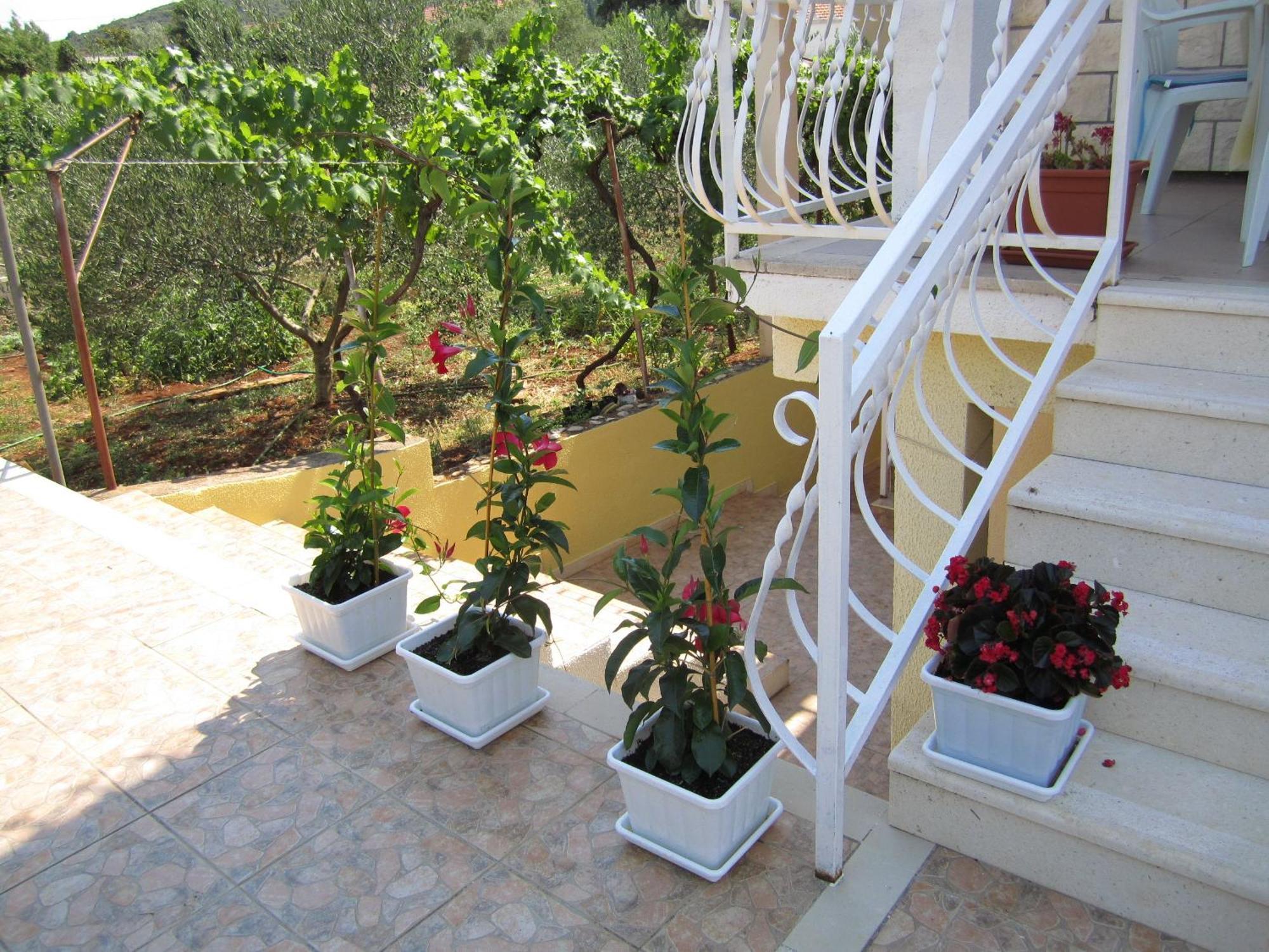 Apartments Biocic Korčula Quarto foto